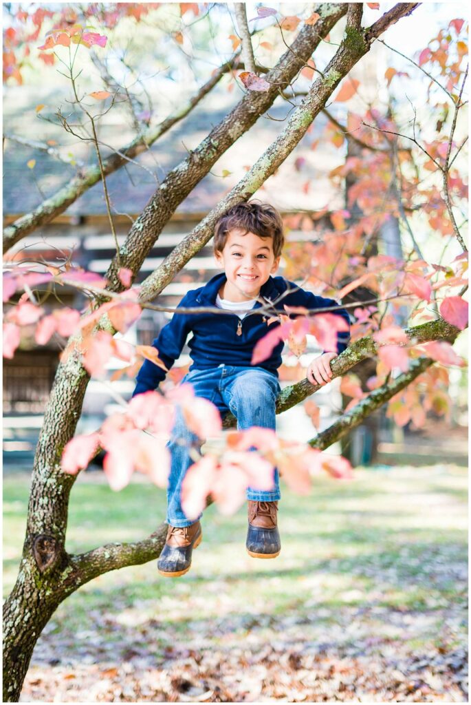 little boy sitting in tree