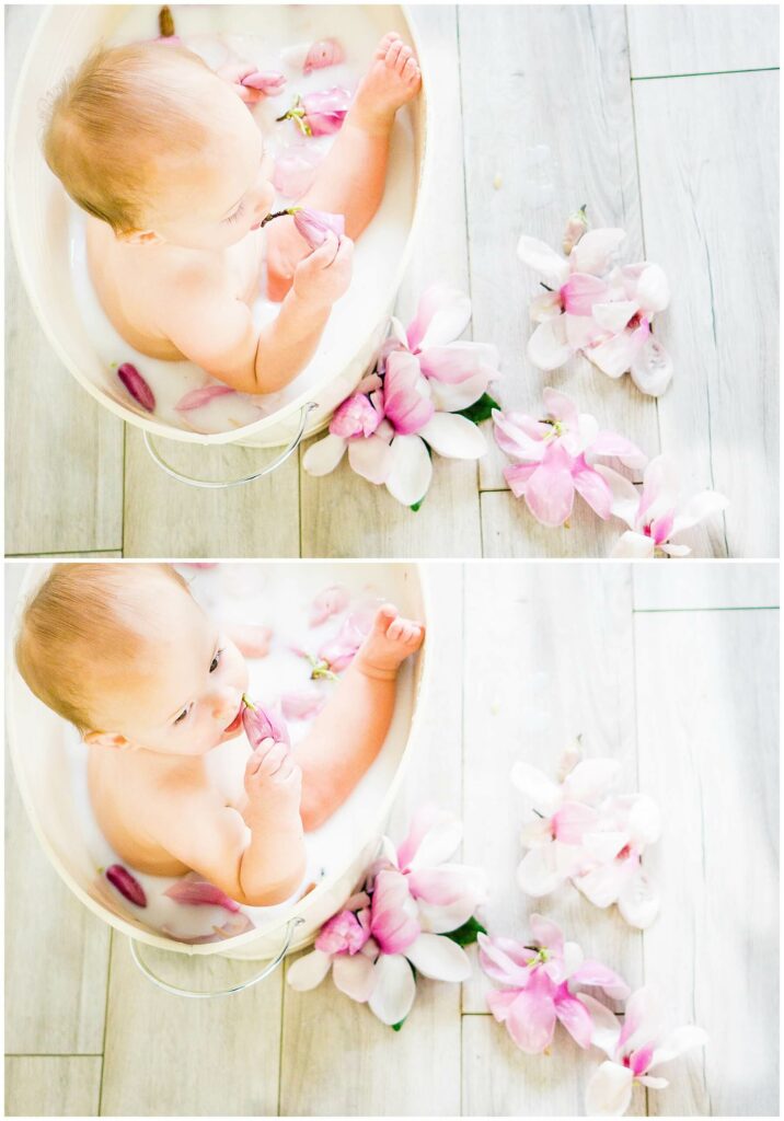 baby in a tulip tree flower milk bath