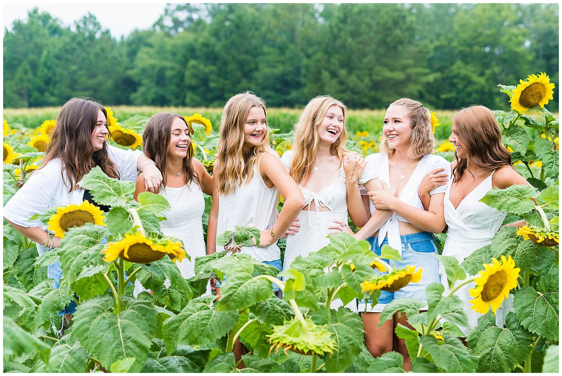 senior group photos in a sunflower field