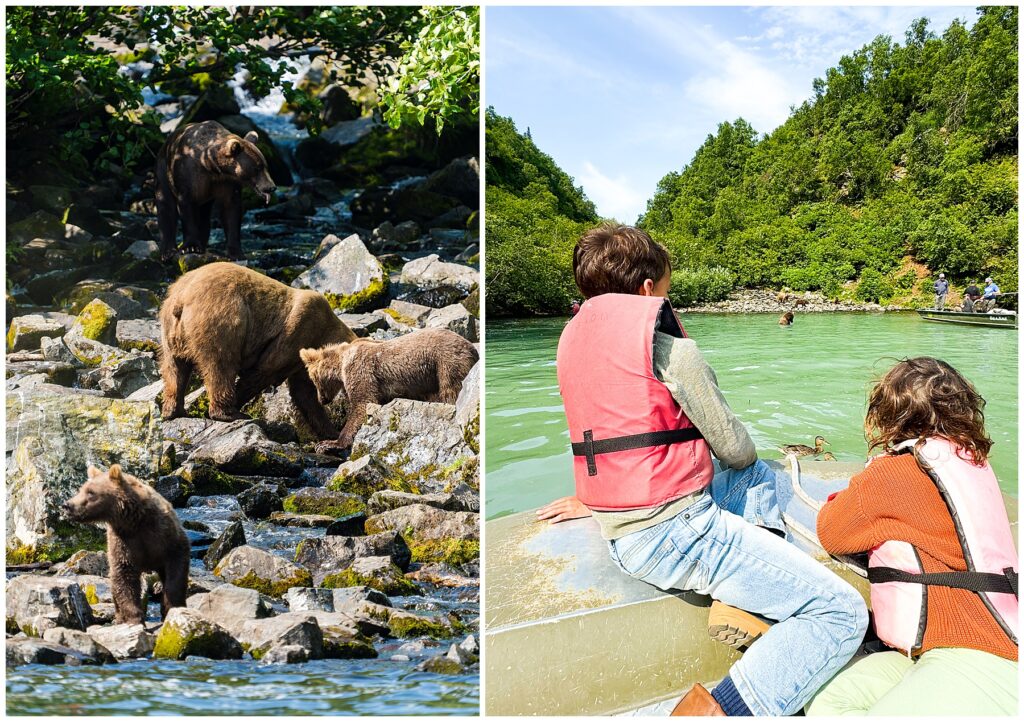 photos bear viewing in Alaska with Talon Air Services