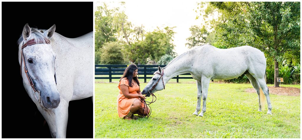 This is a two-panel image showing the same light gray (dappled) horse in a studio portrait and in an outdoor setting. Left panel: A close, studio-style portrait of the horse against a solid black background. The horse is wearing a brown leather bridle, and the lighting highlights the texture of its speckled coat, alert ears, and calm eye, giving a polished, formal look. Right panel: An outdoor scene in a grassy paddock bordered by dark fencing and trees. A woman in an orange dress is kneeling and gently holding the horse’s reins while the horse lowers its head toward her, creating a quiet, affectionate moment. The setting is bright and green, with natural light and a peaceful, pastoral atmosphere.