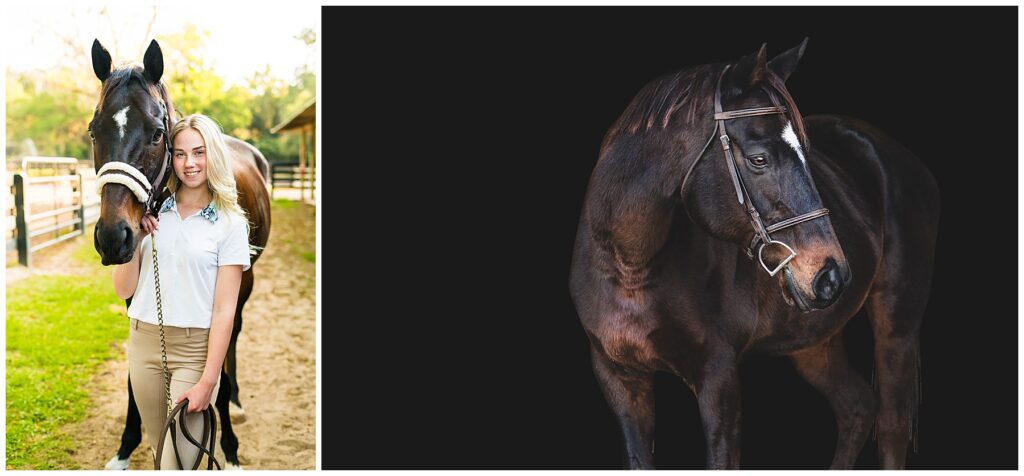 This image is another side-by-side composition of the same dark bay or black horse shown in two different styles. Left panel: The horse is standing outdoors in a stable or paddock area, next to a young woman. She is smiling and holding the lead rope, wearing a white short-sleeved top and tan riding pants. The horse has a white star marking on its forehead and is wearing a halter. The background includes green grass, fencing, and stable structures, with soft natural light giving a warm, friendly feel. Right panel: A studio-style portrait of the same horse against a solid black background. The horse is wearing a bridle and turned slightly to the side, showing its muscular neck and glossy coat. Dramatic lighting emphasizes the contours of its face, neck, and shoulders, creating a polished, professional equine portrait look.